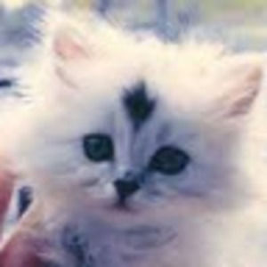 Meet your Posher, Ruby